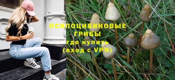 гашик Сосновоборск