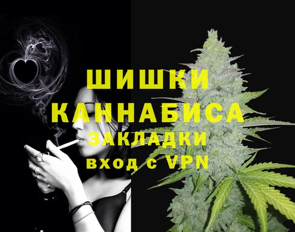 гашик Сосновоборск