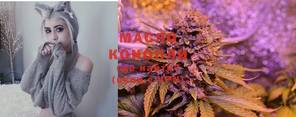 гашик Сосновоборск