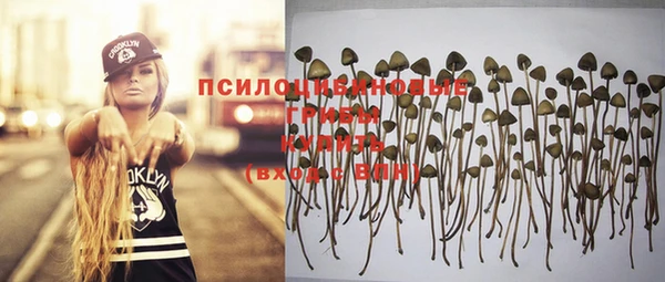 гашик Сосновоборск